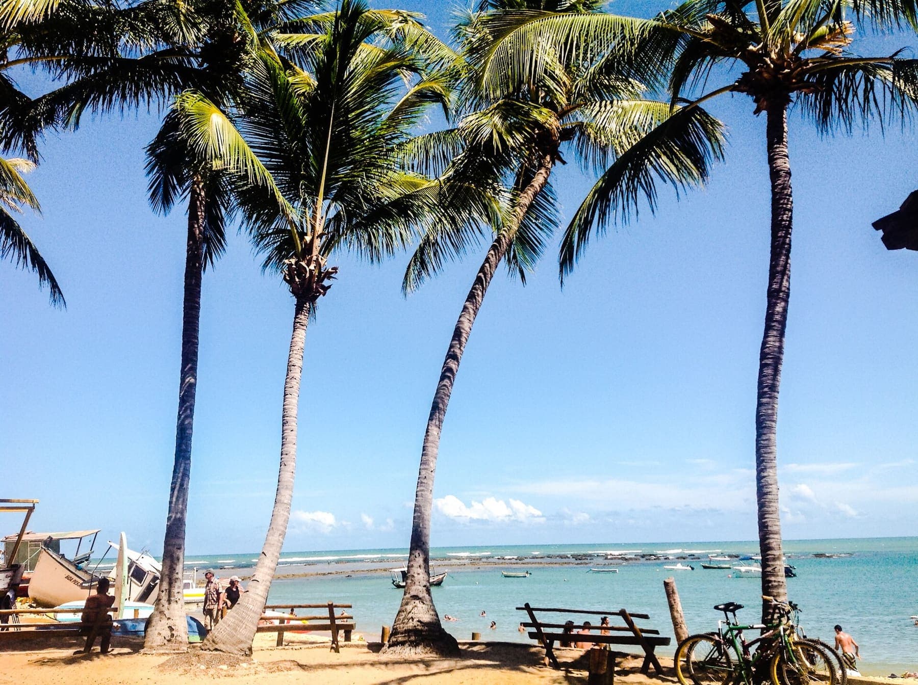Praia do Forte e Projeto Tamar — 2