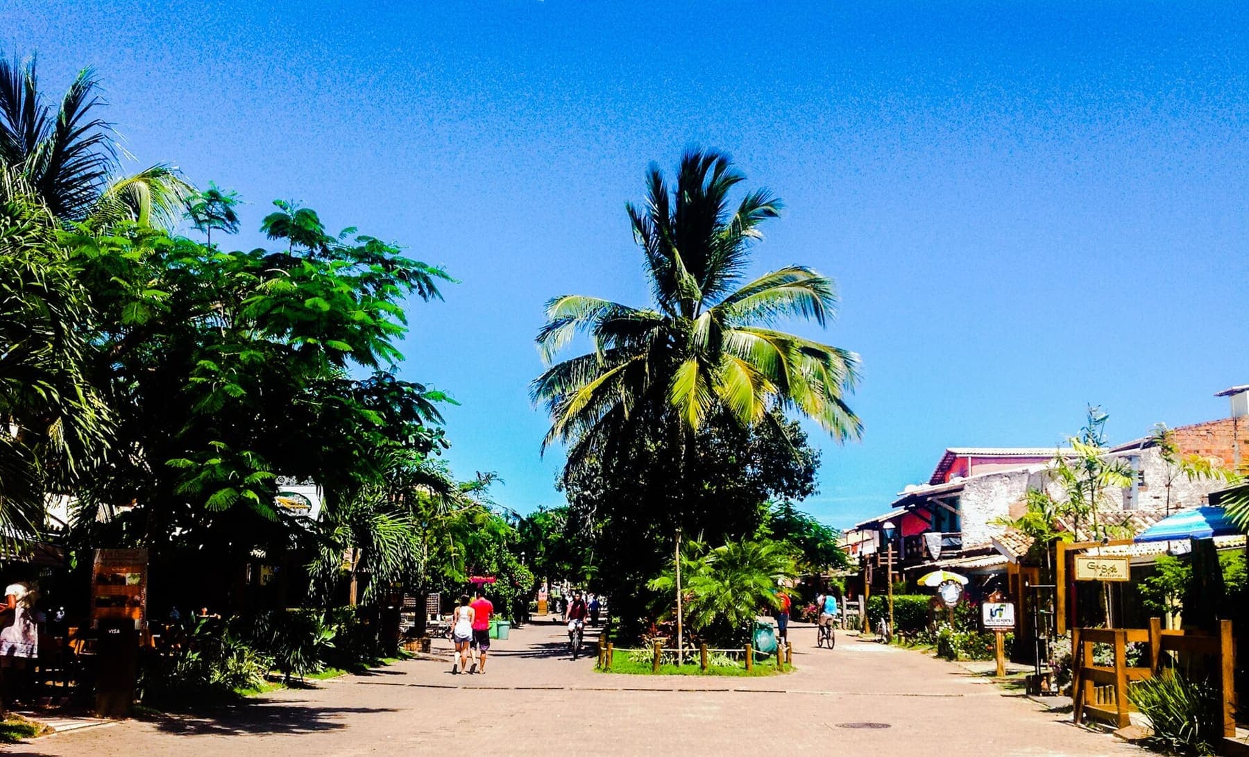 Praia do Forte e Projeto Tamar — 4