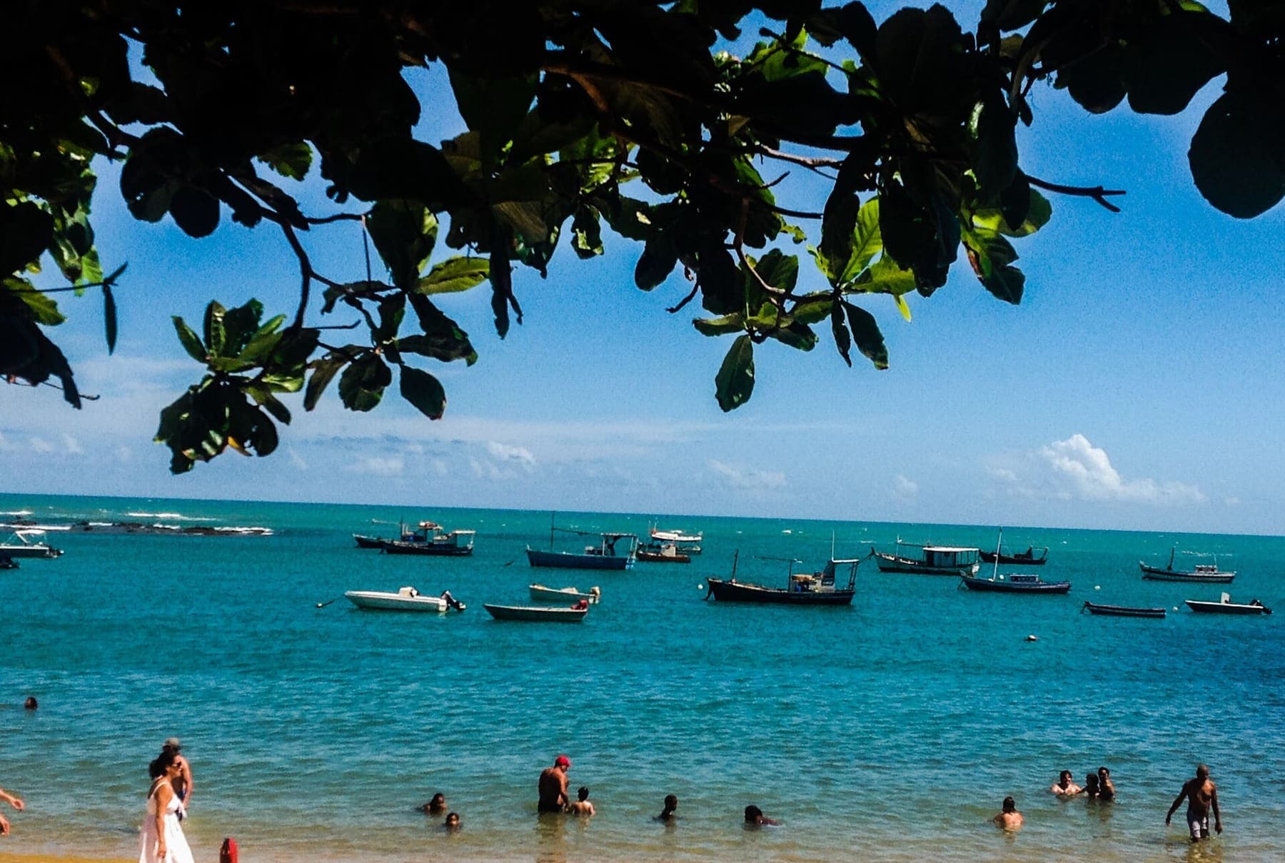 Praia do Forte e Projeto Tamar
