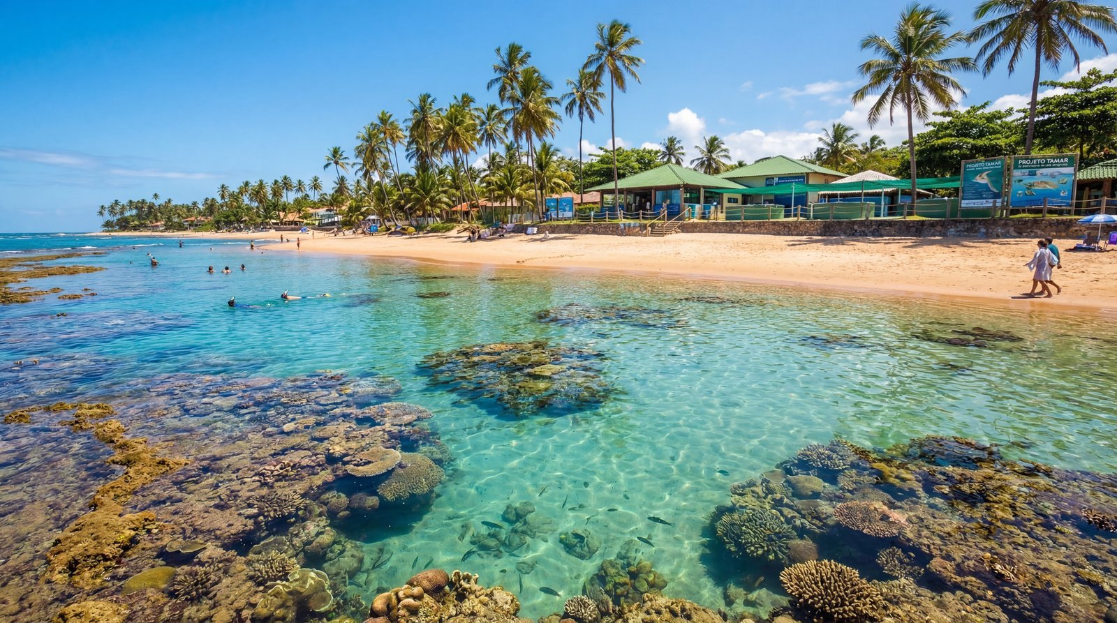 Praia do Forte — Litoral Norte da Bahia